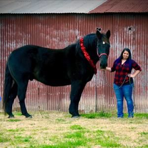 Meet your Posher, Tessa